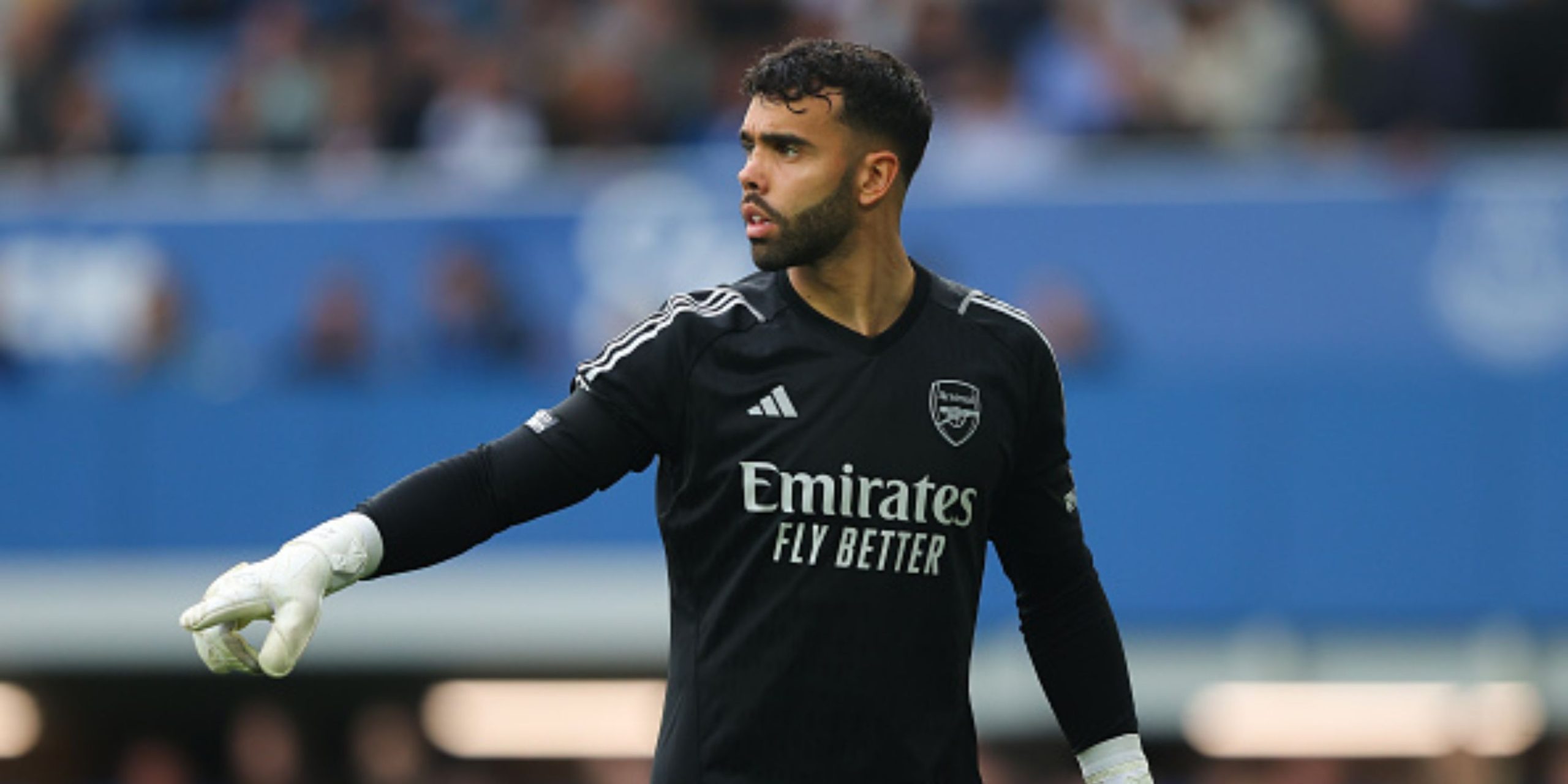 David Raya wallpaper hd 
