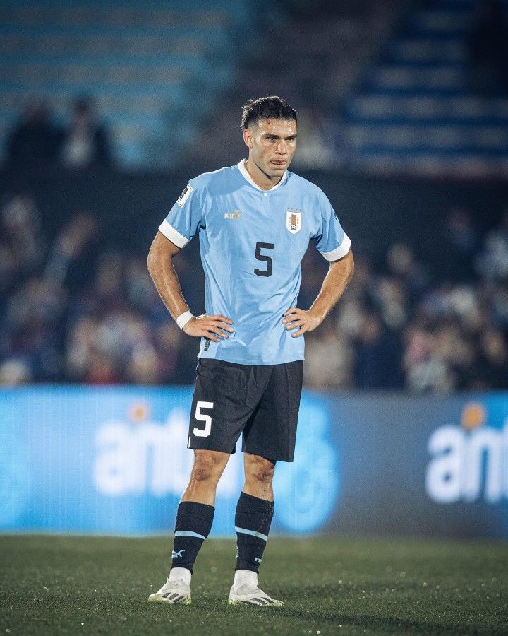 wallpaper manuel ugarte