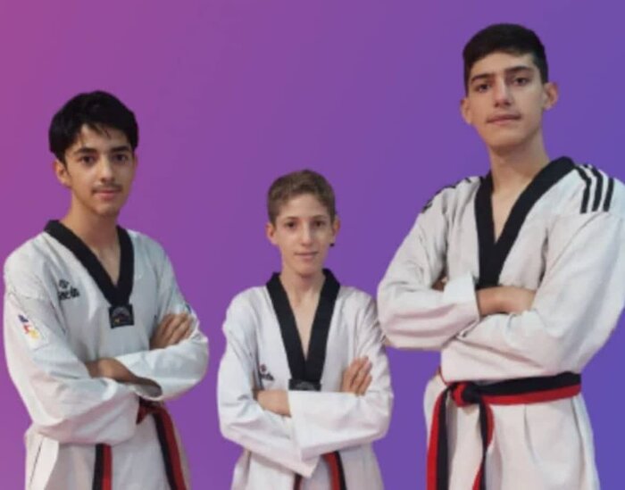 عکس پروفایل ایلیا شهبازی