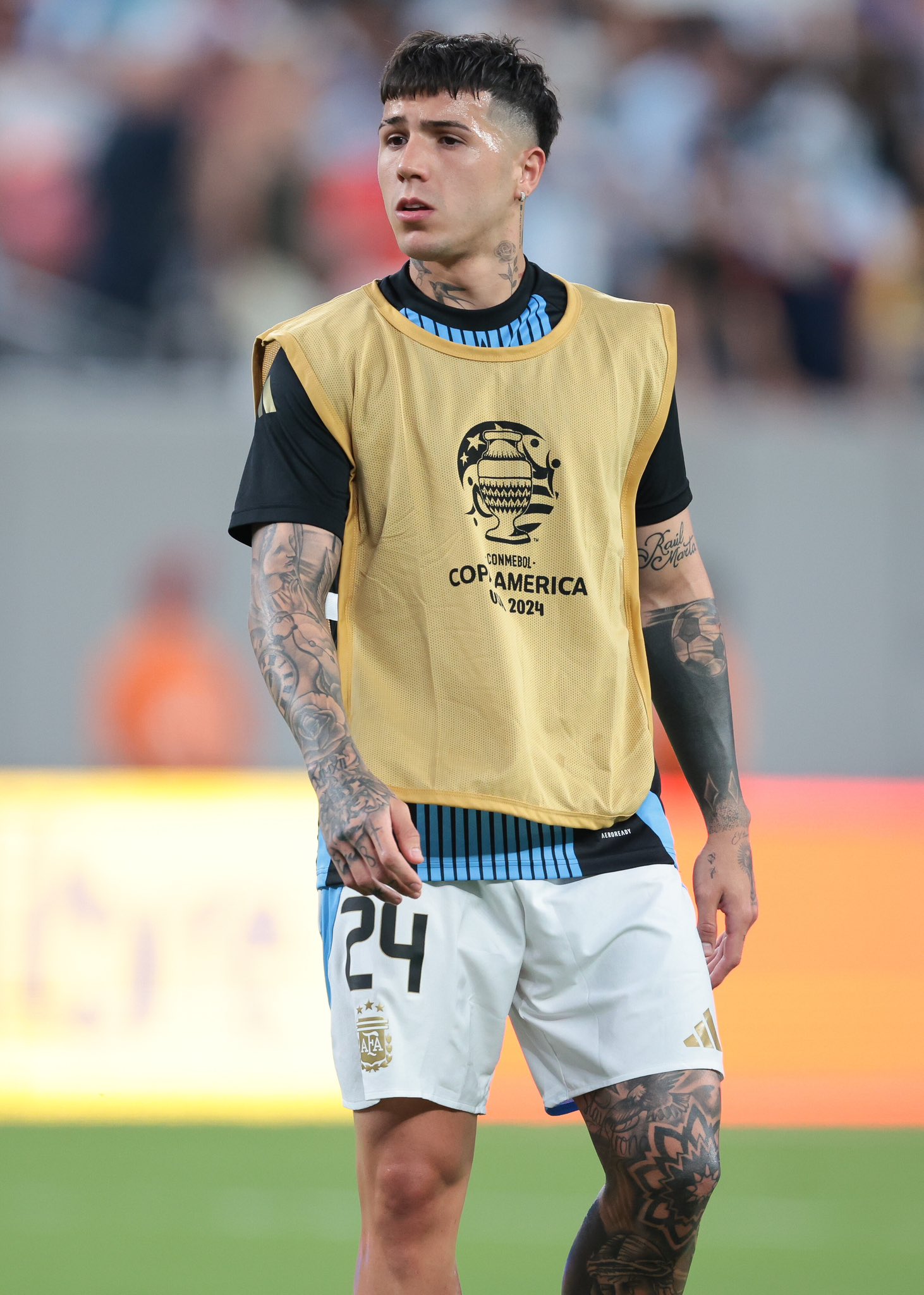 انزو فرناندز