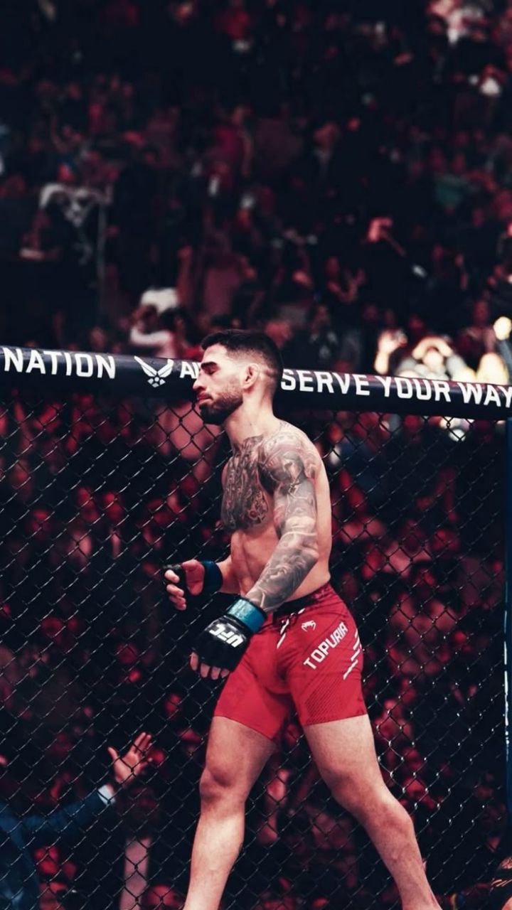 والپیپر ایلیا توپوریا برای کامپیوتر